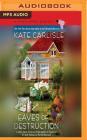 Eaves of Destruction (Fixer-Upper Mystery #5) By Kate Carlisle, Angela Starling (Read by) Cover Image