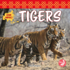 Tigers By Alicia Rodriguez Cover Image