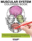 Muscular System Coloring Book By Pamphlet Books Cover Image