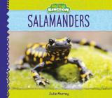 Salamanders (Animal Kingdom) By Julie Murray Cover Image