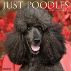 Just Poodles 2025 12 X 12 Wall Calendar By Willow Creek Press Cover Image