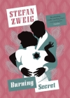 Burning Secret (Pushkin Collection) By Stefan Zweig, Anthea Bell (Translated by) Cover Image