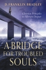 A Bridge for Troubled Souls: Christian Principles to Alleviate Despair Cover Image
