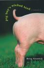 Pig Boy's Wicked Bird: A Memoir By Doug Crandell Cover Image