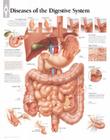Diseases of Digestive System Chart: Wall Chart By Scientific Publishing (Other) Cover Image