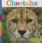 Cheetahs (Seedlings) Cover Image