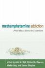 Methamphetamine Addiction: From Basic Science to Treatment Cover Image