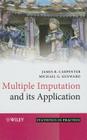 Multiple Imputation and Its Application (Statistics in Practice #79) By James Carpenter, Michael Kenward Cover Image