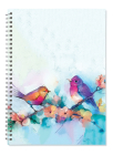 Watercolor Birds A5 Spiral Notepad  By New Holland Publishers Cover Image