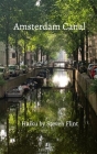 Amsterdam Canal By Steven Flint Cover Image