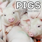Pigs Calendar 2021: 16-Month Calendar, Cute Gift Idea For Pig Lovers Men & Women Cover Image