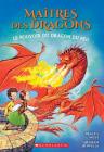 Maîtres Des Dragons: N° 4 - Le Pouvoir Du Dragon Du Feu By Tracey West, Graham Howells (Illustrator) Cover Image