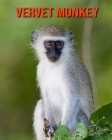 Vervet Monkey: Fun Learning Facts About Vervet Monkey By Sybil Edward Cover Image
