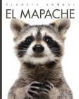 El mapache (Planeta animal) By Valerie Bodden Cover Image