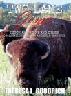 Two Lane Gems, Vol. 2: Bison are Giant and Other Observations from an American Road Trip By Theresa L. Goodrich Cover Image