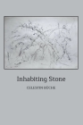 Inhabiting Stone By Celestin Büche Cover Image