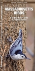 Massachusetts Birds: A Folding Pocket Guide to Familiar Species By James Kavanagh, Waterford Press, Leung Raymond (Illustrator) Cover Image