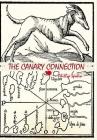 The Canary Connection By Phillip Spolin Cover Image