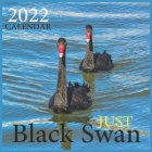 Just Black Swan CALENDAR 2022: Official Black Swan CALENDAR 2022, Cute Animal Calendar,12 Month, Office Calendar Swan Lovers, Square CALENDAR 2022 By Calendar 2022 Pub Print Cover Image