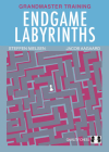 Endgame Labyrinths By Jacob Aagaard, Steffen Nielsen Cover Image