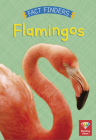 Flamingos By Katie Woolley Cover Image