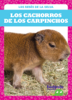 Los Cachorros de Los Carpinchos (Capybara Pups) By Genevieve Nilsen Cover Image