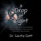 A Drop of Light: How a School Under the Trees Broke Down Barriers to Educating Underprivileged Children By Savita Datt Cover Image