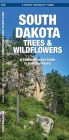South Dakota Trees & Wildflowers: A Folding Pocket Guide to Familiar Plants (Pocket Naturalist Guide) By James Kavanagh, Waterford Press, Raymond Leung (Illustrator) Cover Image