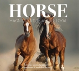 Horse: Magnificent, Playful, Loyal (Best Kept Secrets) By Catherine Austen, Sarah Gorrie, Pippa Roome, Nicola Jane Swinney Cover Image