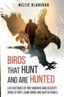 Birds That Hunt and Are Hunted: Life Histories of One Hundred and Seventy Birds of Prey, Game Birds and Water-fowls By Neltje Blanchan Cover Image