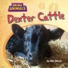 Dexter Cattle (Mini Animals) By Alix Wood Cover Image