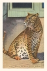 Vintage Journal Leopard, Sarasota, Florida By Found Image Press (Producer) Cover Image