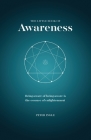 The Little Book of Awareness By Peter Ingle Cover Image