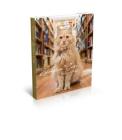 Bookstore Cats By Brandon Schultz Cover Image