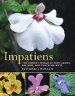 Impatiens: The Vibrant World of Busy Lizzies, Balsams, and Touch-me-nots By Raymond Morgan Cover Image