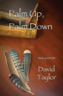 Palm Up, Palm Down By David Taylor Cover Image