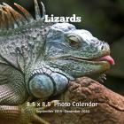 Lizards 8.5 X 8.5 Photo Calendar September 2019 -December 2020: Monthly Calendar with U.S./UK/ Canadian/Christian/Jewish/Muslim Holidays- Nature Lizar By Lynne Book Press Cover Image