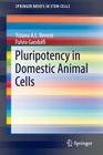 Pluripotency in Domestic Animal Cells (Springerbriefs in Stem Cells) By Tiziana A. L. Brevini, Fulvio Gandolfi Cover Image