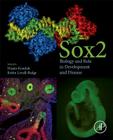 Sox2: Biology and Role in Development and Disease Cover Image