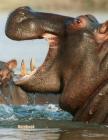 Notebook: 8.5 X 11, College-Ruled, 120 Pages, Hippos By L. S. Goulet, Lsgw Cover Image