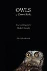 Owls of Central Park By Charles F. Kennedy, Steve Kennedy (Editor) Cover Image