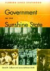 Government in the Sunshine State: Florida Since Statehood (Florida History and Culture) By David R. Colburn, Lance Dehaven-Smith Cover Image