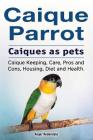 Caique parrot. Caiques as pets. Caique Keeping, Care, Pros and Cons, Housing, Diet and Health. Cover Image