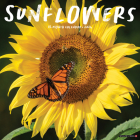 Sunflowers 2024 12 X 12 Wall Calendar By Willow Creek Press Cover Image