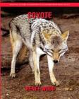 Coyote: Beautiful Pictures & Interesting Facts Children Book about Coyote Cover Image