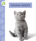 Animal Babies By Anastasia Suen Cover Image