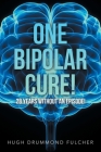 One Bipolar Cure!: 28 Years Without an Episode! By Hugh Drummond Fulcher Cover Image