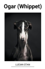 Ogar (Whippet) By Lucian Stan Cover Image