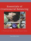 Essentials of Craniosacral Balancing: A Practical Step-By-Step Visual Guide By David Rich Sol Cover Image