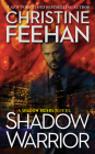 Shadow Warrior (A Shadow Riders Novel #4) Cover Image
